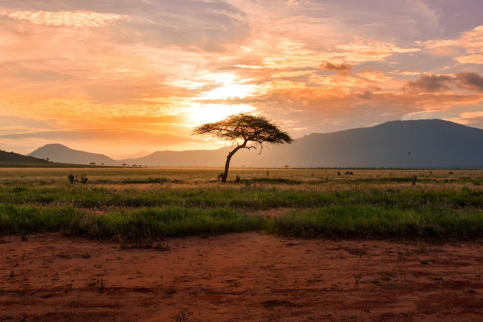 Energy landscape across Africa